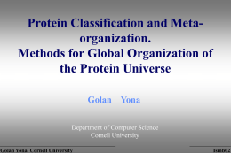 Unification of sequence and structure analysis of proteins