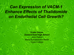 Can Expression of VACM-1 Enhance Effects of