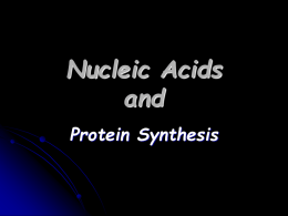 Nucleic Acids and