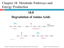 CH_18_8_Degradation_Amino_Acids