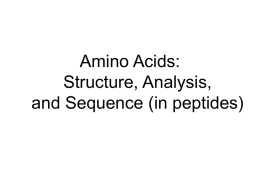 Analysis of amino acids and peptide primary structure determination