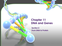DNA and Proteins