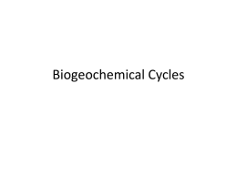 Practice PPT with Biogeochemical Cycles - Parkway C-2