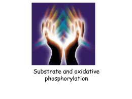Substrate and oxidative phosphorylation