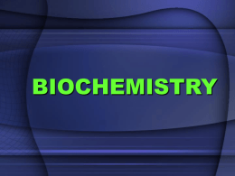 biochemistry - SchoolNotes