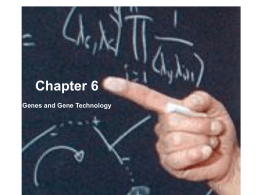 Chapter 6 - TeacherWeb