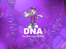 Ch12 DNA