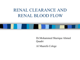 renal clearance