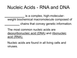 lecture notes-biochemistry-4-Nucleic Acids