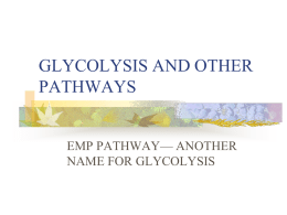 glycolysis and other pathways