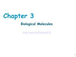 Chapter 3 - Human Anatomy