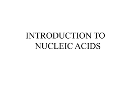 lec1 Introduction to nucleic acids
