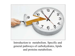 Introduction to metabolism. Specific and general pathways of