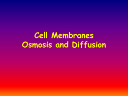 Cell Membranes Osmosis and Diffusion Functions of Membranes