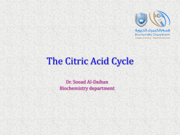 The Citric Acid Cycle