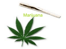 Marijuana Presentation