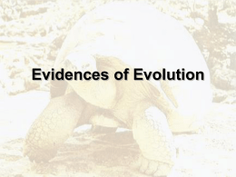 Evidences of Evolution Evidences_of_Evolution_PPT