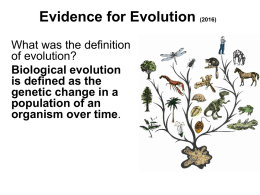 Evolution - rosedale11universitybiology