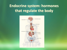 Endocrine system: hormones that regulate the body