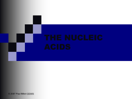 the nucleic acids