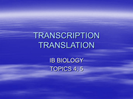 TRANSCRIPTION TRANSLATION