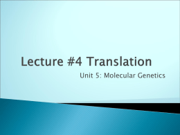 Lecture #4 Translation