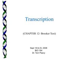 Brooker Chapter 11