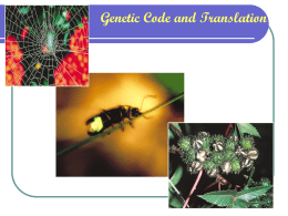 Ch 15. Genetic Code and Translation