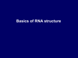 RNA_Structure