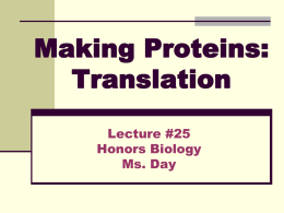 LECTURE #25: Translation