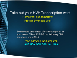 TRANSCRIPTION & TRANSLATION: From DNA to Protein