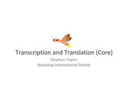 transcription-translation-core-1231389105373484 - REVISION-IB2