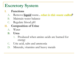 Digestive & Excretory Systems