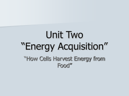 Unit Two “Energy Acquisition”