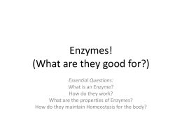 Enzymes! - Mrs. Ahrens` Science Site