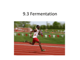 9.3 Fermentation