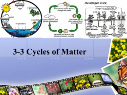 3-3 Cycles of Matter I. Biogeochemical cycle