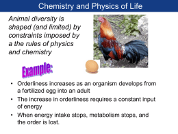 Chapter 2 The chemistry of life