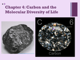 Ch. 4 Carbon