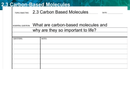 2.3 Carbon-Based Molecules