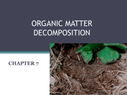 organic matter decomposition