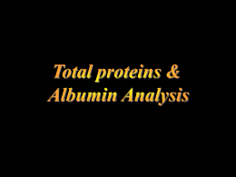 Serum Total Protein