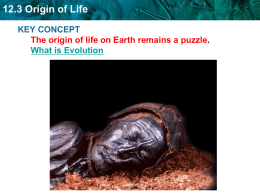 12.3 Origin of Life