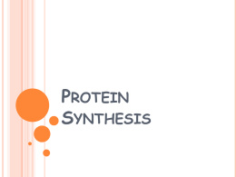 Protein Synthesis PowerPoint