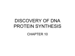 DNA replication and protein synthesis
