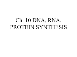Ch. 10 DNA, RNA, PROTEIN SYNTHESIS
