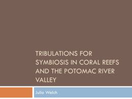 Tribulations for symbiosis in coral reefs and the potomac river valley