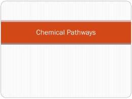 Chemical Pathways
