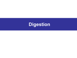 7_1_1-digestionlecture
