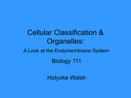 Cellular Organelles - holyoke